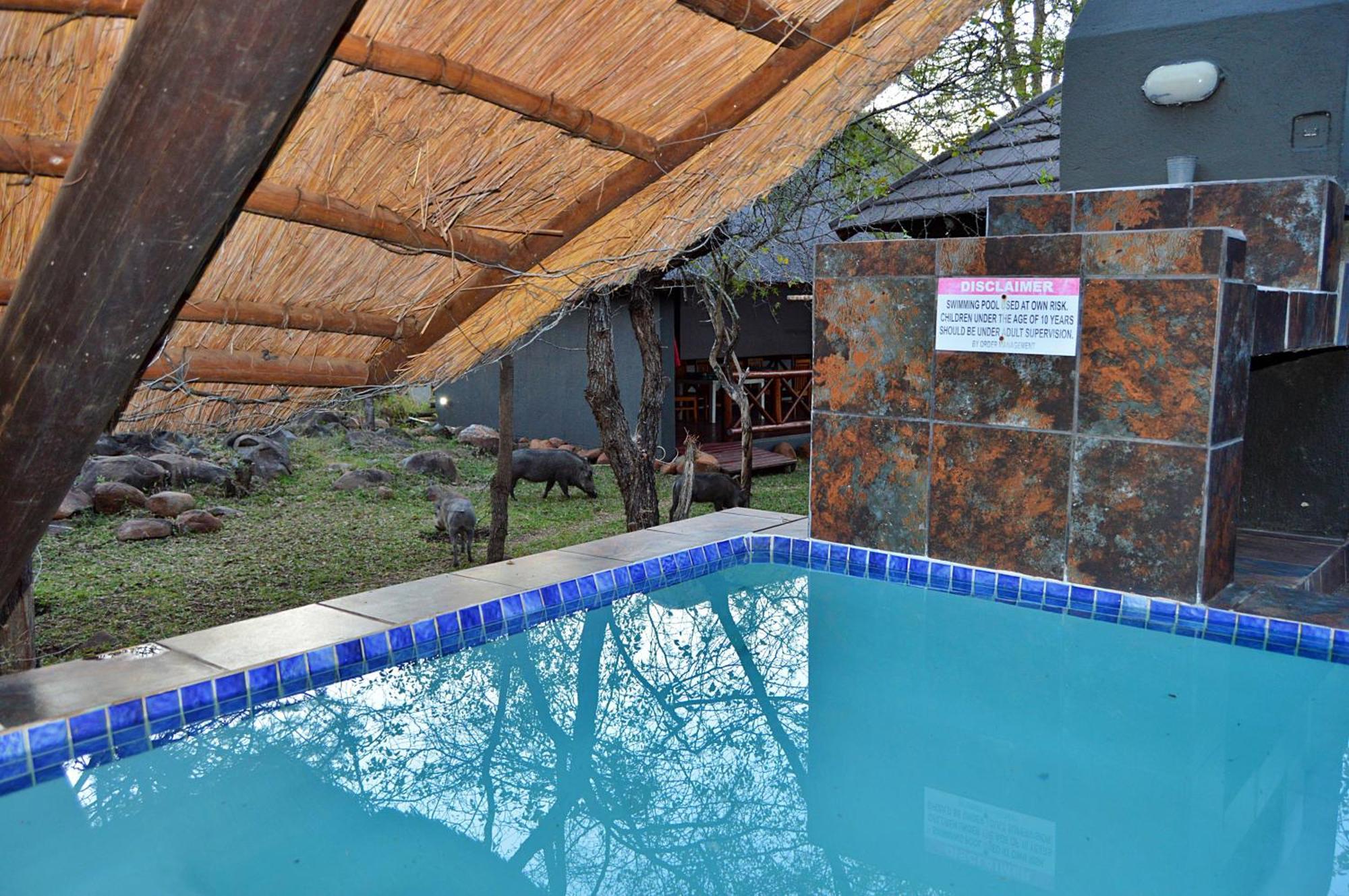 Royal Marlothi Kruger Safari Lodge And Spa Marloth Park Kültér fotó