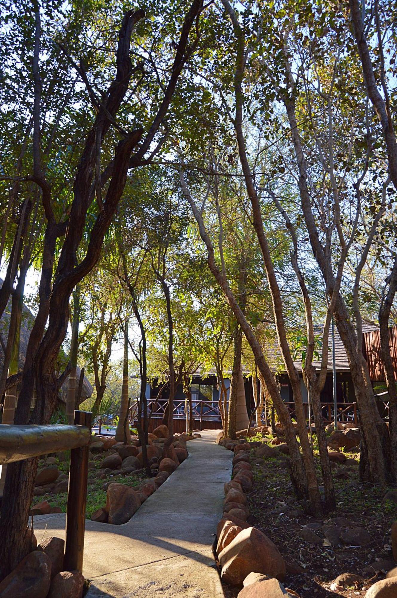 Royal Marlothi Kruger Safari Lodge And Spa Marloth Park Kültér fotó