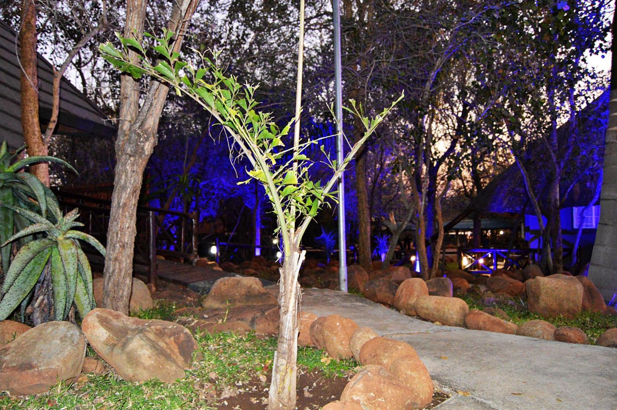 Royal Marlothi Kruger Safari Lodge And Spa Marloth Park Kültér fotó